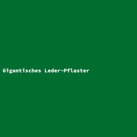 Gigantisches Leder-Pflaster